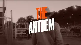 Wild Willies Men's Grooming | The Anthem