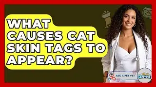 What Causes Cat Skin Tags To Appear? - Ask A Pet Vet