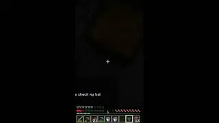 Minecraft LIVE!!! VERTICAL
