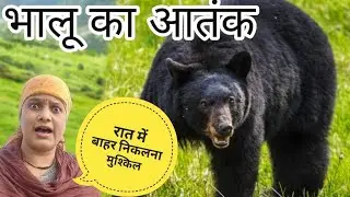 आखिरकार कब तक हमारे पहाड़ी क्षेत्र में डर बना रहेगा   😥😥 कब तक हम पहाड़ी लोग इनका शिकार बनते रहे 