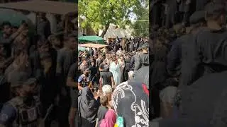 Allama Shahenshah Hussain Naqvi | Darbar ShahShams Multan #multan #azadar #shahenshah