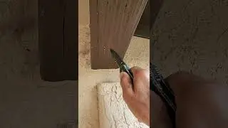 Termite damage patio support beam.
