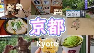 【京都観光／左京区＆嵐山】猫猫寺／外国人観光客で大賑わいのモンキーパーク♡／嵐山で食べ歩き♪