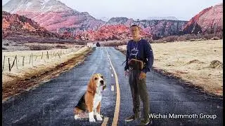 Ep.5 เพลงสากล Love Me Love My Dog - PETER SHELLEY (Thailsub ซับไทย) Wichai Mammoth Group