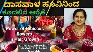 ದಾಸವಾಳ ಹೂವಿನಿಂದ ಕೂದಲಿನ ಆರೈಕೆ ಹೇಗೆ ಮಾಡುವುದು power of Hibiscus flowers in Haircare 