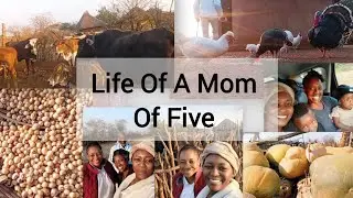 Days In The Life Of A Single Mom Of Five/Zim Vlog #3/ $LifeOver40 ... ✨🦋