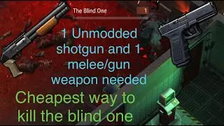 Cheapest Way To Kill The BlindOne.