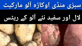 Potato mandi rate today aalu rate okara mandi rate today potato live rate 19.01.2026