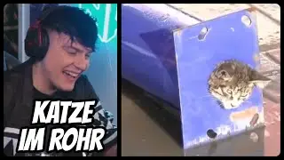 KATZE steckt in einem ROHR fest? | Niek Reaction
