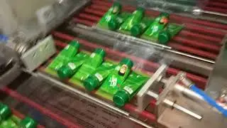 MARICO 06