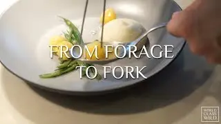 Fairmont Pacific Rim - World Class Wild 