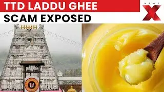TTD Laddu Ghee Scam: CBI Chargesheet Names Dairy Bosses, Ex-TTD Officials