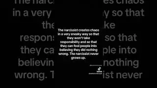How do narcissists create chaos in your life? #narcissism #narcs