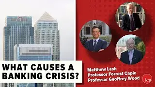 What Causes Banking Crises?