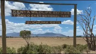 KENYA safari Tsavo 02
