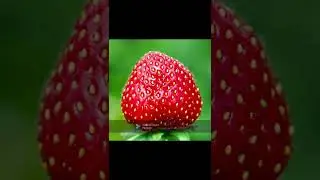 3 Amazing Facts about Fruits #facttuber#facts#shorts#youtubeshorts