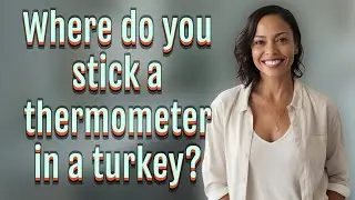 Where do you stick a thermometer in a turkey?