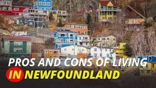 Pros And Cons Of Living In Newfoundland