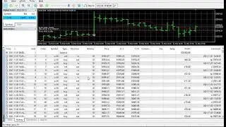 Nextgen Trend Trading Robot   NEXTGEN INVESTMENT LLC