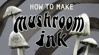 making MUSHROOM INK with Shaggy Mane