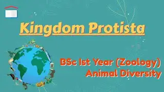 Kingdom Protista- Phylum Protozoa |Zoology| BSc Ist Year (Animal Diversity)