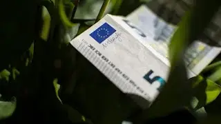 Shifting investments for a green recovery