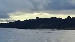 Cruising the Amazon River on MSC POESIA WORLD CRUISE  2024.