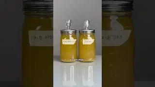DO YOU NEED TO HYDRATE YEAST? (PART 2)