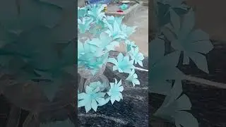 ❤️🌼🌸#papercraft #handmadecrafting #flowerdesign🌺#justtry #vdo #fyp