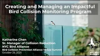 &ldquo;Creating and managing an impactful bird collision monitoring program&rdquo; Katherine Chen