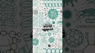 Maths Vs Biology #shorts #maths #biology #vs