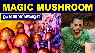 Warning:ഒരിക്കലും ഉപയോഗിക്കരുത്⚠️ | Magic Mushroom Explained | Malayalam | Aswin Madappally