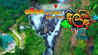 Exploring Algama Ella - Hidden Waterfall & Eco Lodge Adventure in Sri Lanka! | අල්ගම ඇල්ල