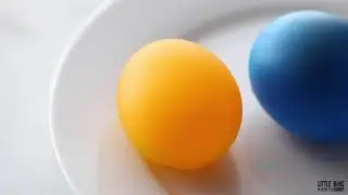 Kitchen Science Activities for Kids