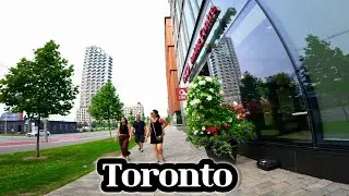 Downtown Toronto Walk 🇨🇦 | Beautiful Summer Streets & City Life