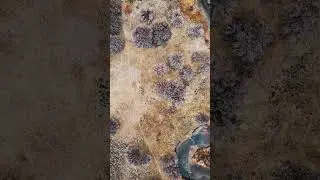 Wetlands drone landscape