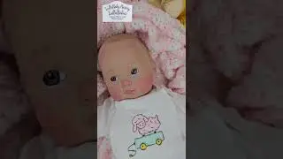 6 Piece Accessory Set fits American Girl Bitty Baby /Preemie reborn  LullaBaby Nursery LullaBabies