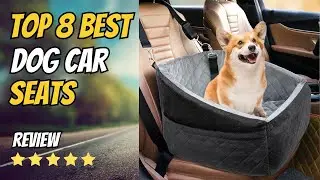 Top 8 Best Dog Car Seats of 2026 | Safest Options for Small, Medium & Large Dogs