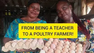How To Increase Egg Production On Your Farm?