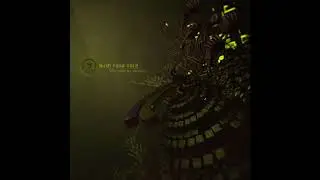 Shadow Fx & Interpulse - Reflexion