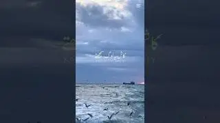 دنیا صرف کھیل تماشا ہے 🌍 | Life after death | Quran reminder #shorts #islamicstatus #quran #viral