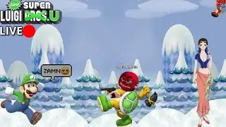 (hopefully) Beating New Super Luigi U