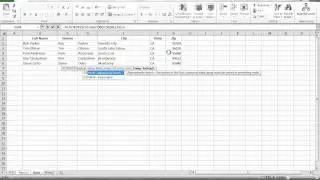 Data Validation List With VLOOKUP Copy and Paste Column Changes Interactive Reporting