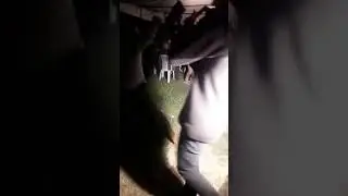 Konya ereğli arsama düğünü oynayanlar selim karaboğa müzisyen şerafettin şen oyun havası potpori