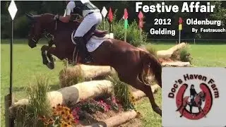 -- Festive Affair -- **** Loudoun Oatlands HT Cross Country and Stadium EVENTING ****