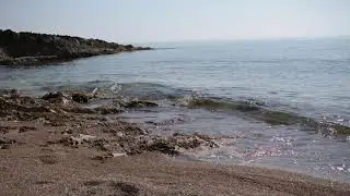 Free Download Sea and Rocks with Wave Sound, 1080p 24 fps|Royalty free for any projects.
