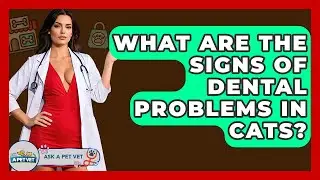 What Are The Signs Of Dental Problems In Cats? - Ask A Pet Vet
