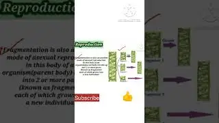 Class 11th Biology (NCERT) | Ch-1 The Living World | Asexual Reproduction (Fragmentation) | NEET