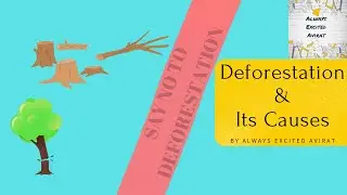 Do you know what is Deforestation?