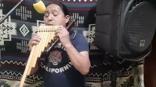 SENSACIÓN=ANDINA=COVER=LA RONDA DE LOS ENANOS(Luis De La Torre)
